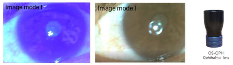 Model: OS-OPH
