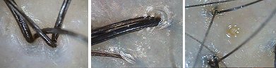 150T